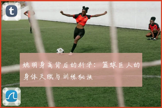 姚明身高背后的科学:篮球巨人的身体天赋与训练秘诀