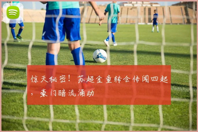 惊天秘密！苏超金童转会传闻四起，豪门暗流涌动