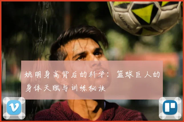 姚明身高背后的科学:篮球巨人的身体天赋与训练秘诀